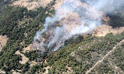 Antalya Kaş'ta orman yangını