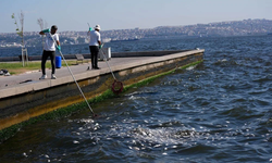 İzmir Körfezi'nde 50 kat fazla amonyak miktarı! Balıkları zehirlemiş olabilir