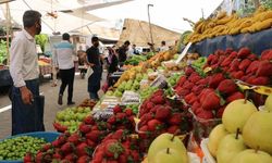 Sarıyer İstinye Pazarı: Hangi Saatlerde Açık, Hangi Gün Kuruluyor?