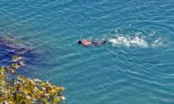 Antalya'da Ekim sonunda yaz sıcağı! Termometreler 32’yi gösterdi