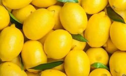 Limonun Faydaları: Bağışıklığı Güçlendirme ve Hastalıklardan Korunma