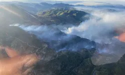 Muğla'nın iki ilçesinde yangına müdahale devam ediyor