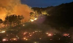 Muğla'daki orman yangınlarına müdahale ediliyor