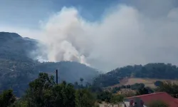 Muğla'da orman yangını! Müdahale devam ediyor