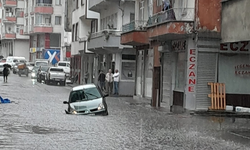 Artvin'de sağanak! Hayatı olumsuz etkiledi