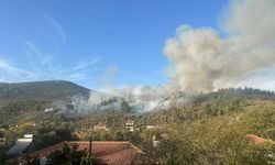 Muğla’da orman yangını