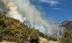 Antalya'da orman yangını! Müdahale devam ediyor