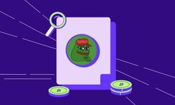 Pepe Coin Fiyatında Yüzde 30’luk Yükseliş Beklentisi