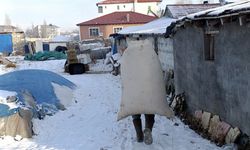 Sibirya soğukları Ağrı'da yaşamı felç etti