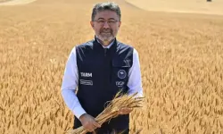 Bakan Yumaklı, Ceylanpınar Tarım İşletmesi'nde buğday ekimi çalışmalarına katıldı