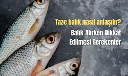 Balık Alırken Fiyat-Performans Dengesi Nasıl Sağlanır?