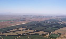 İsrail'in göz diktiği Golan Tepeleri neden önemli?