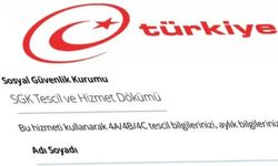 SGK Hizmet Dökümü Sorgulama İşlemi Nasıl Yapılır?