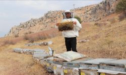 Siirtli genç, kayınpederine özenip arıcı oldu