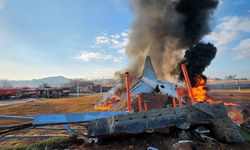 Güney Kore'deki uçak kazasında kuş çarpması ihtimali tartışılıyor