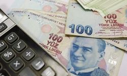 Çiftçilere 985,9 milyon lira destek ödemesi yapılacak