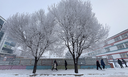 Erzurum, Ardahan, Ağrı ile Kars'ta yoğun kırağı ve buzlanma!