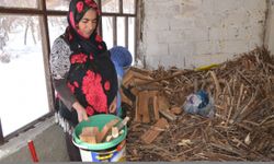 Hakkari'de 50 yaşındaki kadın mezrada tek başına yaşıyor