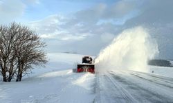 Ardahan-Şavşat ile Damal-Posof-Türkgözü yolu tipi nedeniyle ulaşıma kapatıldı