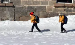 Valiliklerden peş peşe tatil müjdesi: Çok sayıda ilde eğitime kar engeli