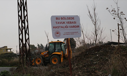 Hatay'da kuş gribi alarmı! Mahalle karantinaya alındı