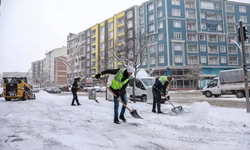 Van'da kapalı 436 yerleşim yerinin yolu açıldı