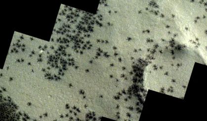 Mars'ta örümcek benzeri madde görüldü