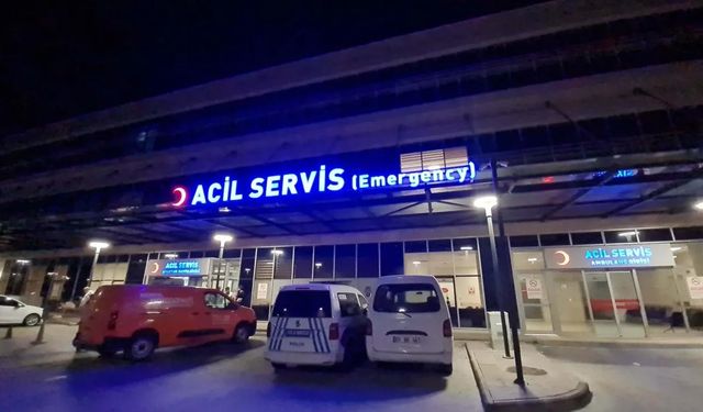 Bodrum'da 16 tatilci hastanelik oldu!