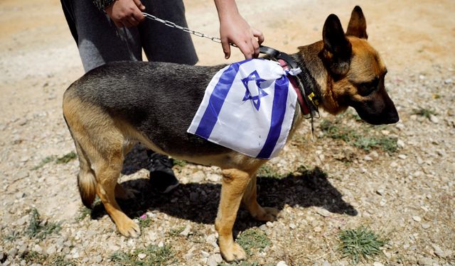 İsrail'in soykırım köpekleri!