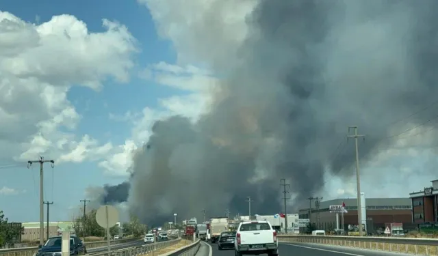 Anız yangını fabrikaya sıçradı: Dumanlar kara yolunu kapladı