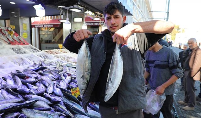 Karadeniz'de yağlanıp büyüyen palamut yüzleri güldürdü