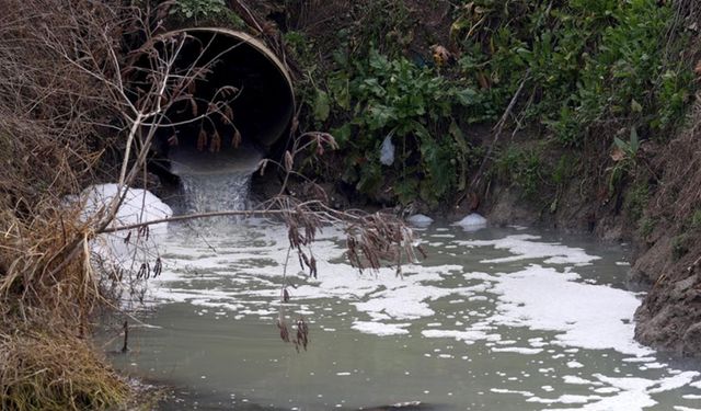 Atık suyu arıtmadan deşarj eden Manisa Büyükşehir Belediyesine ceza kesildi