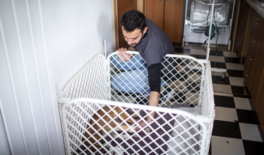 Bu arada, Şehit Haluk Yılmaz İlkokulu öğrencileri, öğretmenleri aracılığıyla Fındık&#039;ı tedavi eden veterinere görüntülü mesaj gönderdi.