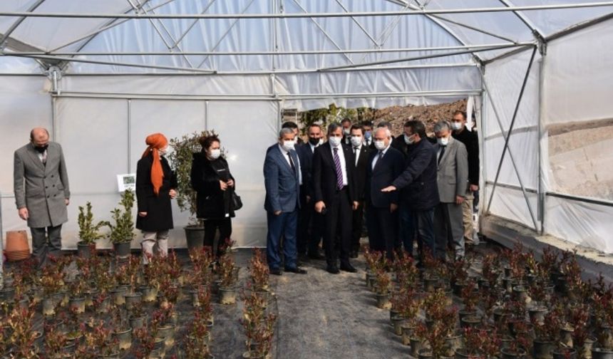 KIRIKKALE (AA) - İçişleri Bakanı Süleyman Soylu, uyuşturucu bağımlılığıyla ilgili, &quot;Bu meseleyi annelerle çözeceğimize inanıyoruz. Çünkü uyuşturucu kullanan çocukların yüzde 90&#039;ına yakınının annesi var.&quot; dedi.