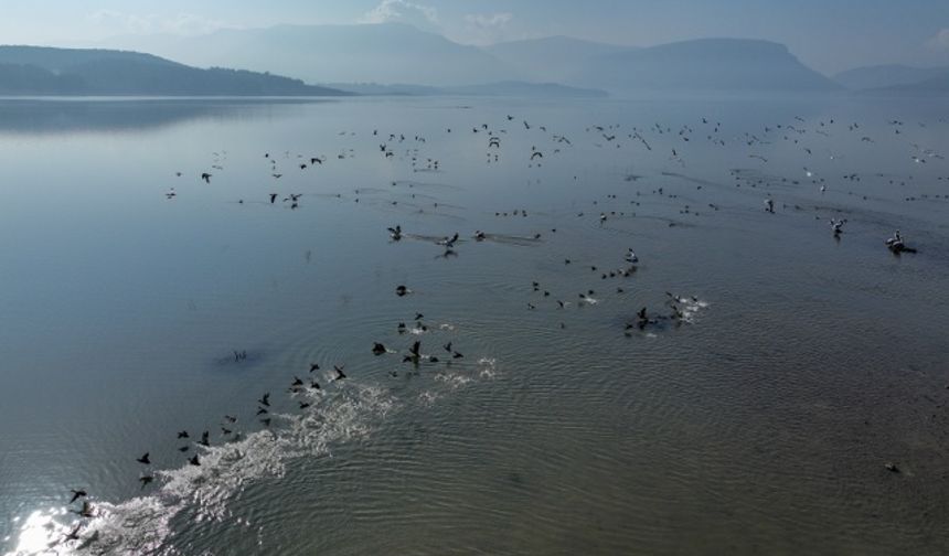 Kuraklık, İzmir'deki içme suyu barajlarında doluluk oranını düşürdü