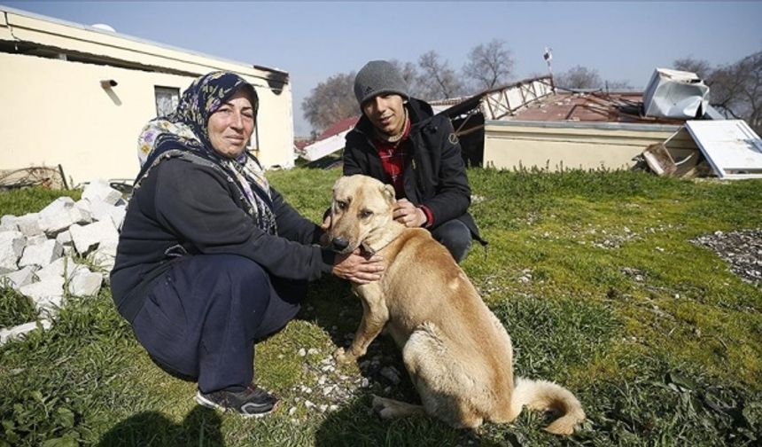 Asi Nehri&#039;nin kıyısındaki tek katlı evleri yıkılan ve oluşan yarıklara su dolması nedeniyle güvenli alana çıkamayan 3 kişilik aileye köpekleri yol gösterici oldu.
