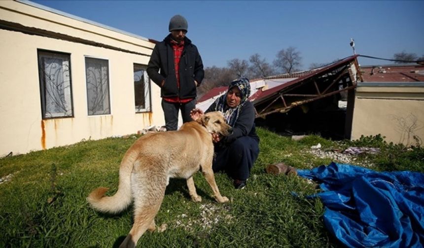 &quot;Canımızı önce Allah&#039;a, sonra köpeğimize borçluyuz&quot;
Ayşe Genco, AA muhabirine, deprem nedeniyle mahalledeki birçok evin adeta nehirle birleştiğini söyledi.

O gece yaşadıklarını anlatan Genco, şöyle konuştu:

&quot;Eşim ve oğlumla el ele tutuşup evimizin bahçe kapısına doğru yürüdük. Ayakta duramıyorduk. Her yerde büyük yarıklar oluştu. Bu yarıklara su dolunca geri kaçtık. Bu sırada bağlı olan köpeği oğlum tasmasından çıkardı. Zifiri karanlıkta hiçbir şey göremiyorduk, kelimeişehadet getirmeye başladık. Bu sırada köpeğimiz dişleriyle beni çekti. Kıyafetimin her yeri bu nedenle yırtıktı. Yarıklara düşe kalka köpek bizi mahallenin okulundaki bahçeye kadar götürdü. Canımızı önce Allah&#039;a, sonra köpeğimize borçluyuz. Köpek bizim yol göstericimiz oldu.&quot;

Genco, depremden sonra nehir sularına kapılan 12 küçükbaş ve 9 büyükbaş hayvanının telef olduğunu dile getirdi.

Ahmet Genco da enkazdan telefonlarını bile alamadan çıktıklarını ifade ederek, köpeklerine ömür boyu çok iyi bakacaklarını, onu aileden birisi gibi gördüklerini vurguladı.

Mahalle sakinlerinden Mehmet Yener ise 2 katlı evlerinin depremde çöktüğü bilgisini verdi.

Nehrin kenarındaki neredeyse bütün evlerin yıkıldığını aktaran Yener, &quot;Mahallede oluşan yarıklara Asi Nehri&#039;nin suları doldu. Yarıklar nedeniyle eşimle güçlükle bölgeden çıktık.&quot; dedi.