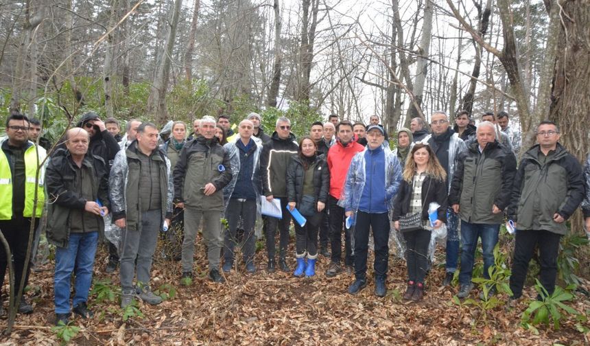 Orman Bölge Müdürü Fahri Sönmezoğlu, çalıştayın ardından gazetecilere yaptığı açıklamada, Kastamonu Üniversitesi öğretim üyeleriyle birlikte çalışma yürüttüklerini, bu kapsamda yöre halkının taleplerini de dinlediklerini belirtti.

Daha fazla kestane ve bal üretimi için ormanlardaki kestane ağacı varlığını artıracaklarını ifade eden Sönmezoğlu,"Kestane ormanlarındaki diğer türleri kısmen uzaklaştıracağız. Bunun sayesinde de bu alana kestane daha fazla hakim olacak. Kestane daha büyük ve güçlü ağaçlar olarak çoğalacak. Bu da mutlaka burada daha fazla meyve, daha fazla çiçek üretimi demek. Bu da tabii ki bu yörede yaşayan insanların daha fazla meyve ve bal üretmesi sonucunu doğuracak." dedi.