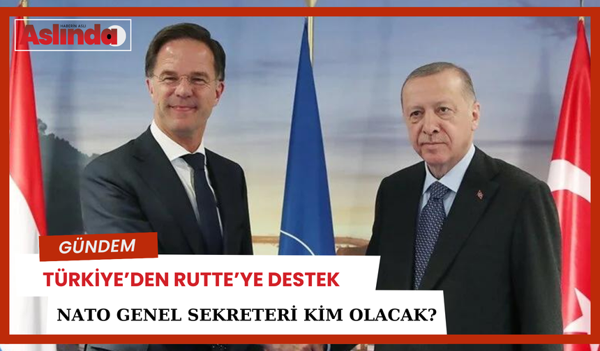 Türkiye'den Rutte'ye destek!