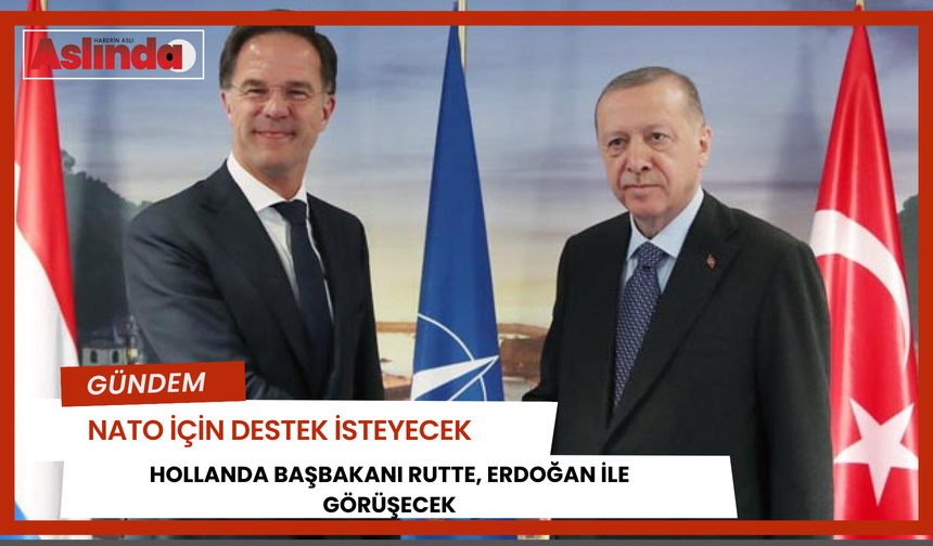 Cumhurbaşkanı Erdoğan Rutte'yi kabul etti