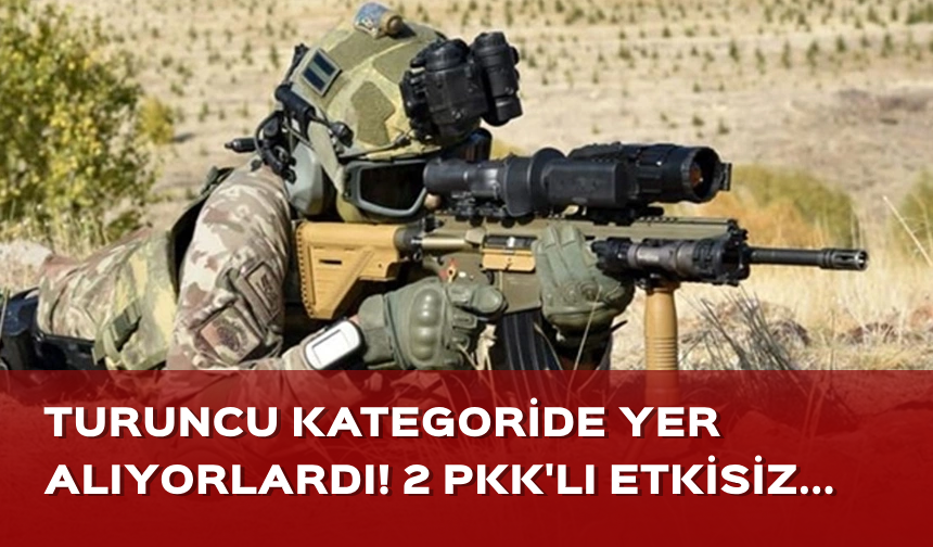 Turuncu kategoride yer alıyorlardı! 2 PKK'lı etkisiz hale getirildi...